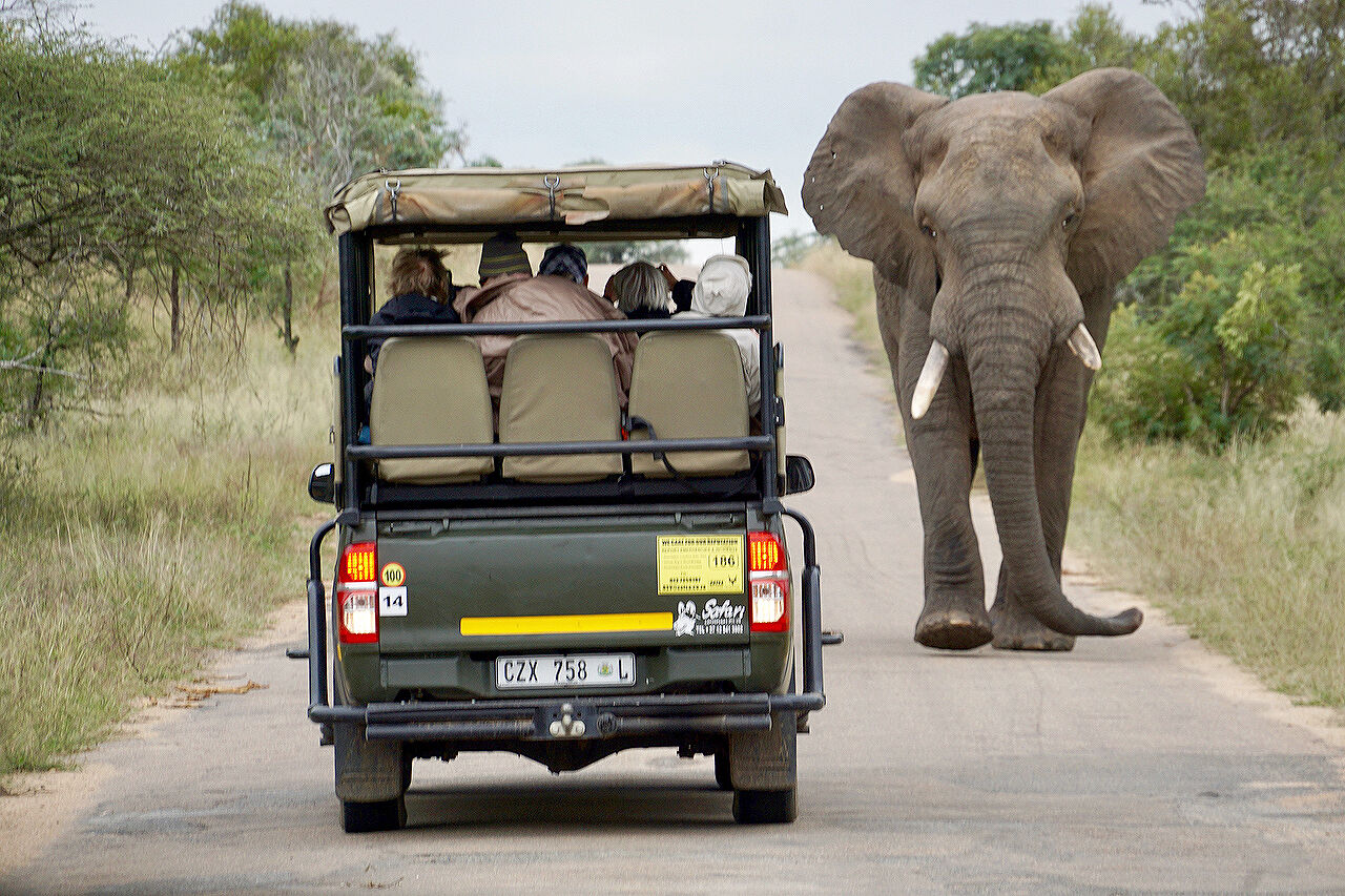 Kruger National Park, South Africa